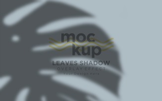 Leaves Shadow Overlay Effect Mockup 105