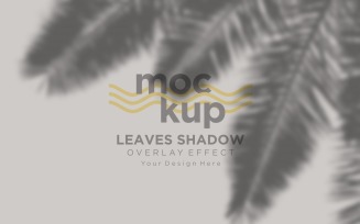 Leaves Shadow Overlay Effect Mockup 107
