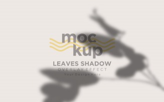 Leaves Shadow Overlay Effect Mockup 110