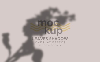 Leaves Shadow Overlay Effect Mockup 111