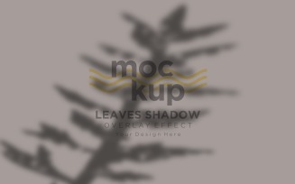Leaves Shadow Overlay Effect Mockup 112
