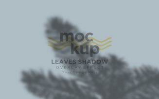 Leaves Shadow Overlay Effect Mockup 114