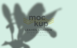Leaves Shadow Overlay Effect Mockup 115