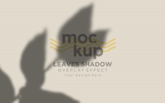 Leaves Shadow Overlay Effect Mockup 116