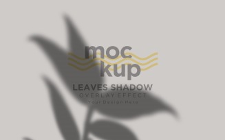 Leaves Shadow Overlay Effect Mockup 117