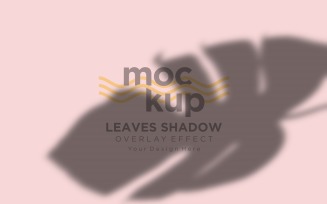 Leaves Shadow Overlay Effect Mockup 118