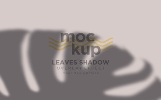 Leaves Shadow Overlay Effect Mockup 121