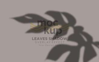 Leaves Shadow Overlay Effect Mockup 122