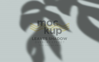 Leaves Shadow Overlay Effect Mockup 123