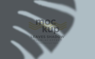 Leaves Shadow Overlay Effect Mockup 124