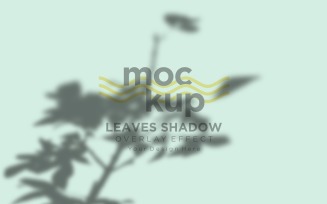 Leaves Shadow Overlay Effect Mockup 125