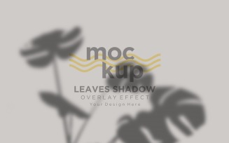 Leaves Shadow Overlay Effect Mockup 127