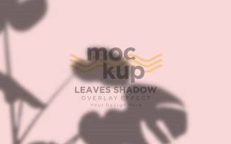 Leaves Shadow Overlay Effect Mockup 128