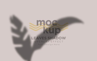 Leaves Shadow Overlay Effect Mockup 131