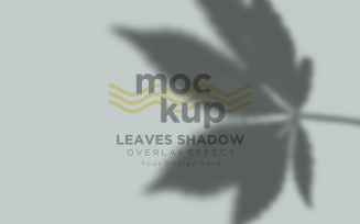 Leaves Shadow Overlay Effect Mockup 133
