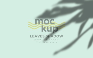 Leaves Shadow Overlay Effect Mockup 135