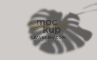 Leaves Shadow Overlay Effect Mockup 137