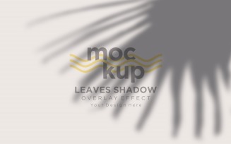 Leaves Shadow Overlay Effect Mockup 140