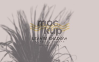Leaves Shadow Overlay Effect Mockup 141