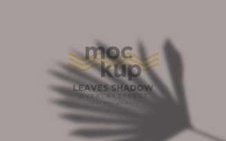 Leaves Shadow Overlay Effect Mockup 142