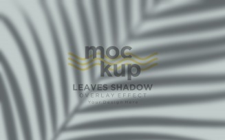 Leaves Shadow Overlay Effect Mockup 143
