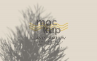Leaves Shadow Overlay Effect Mockup 146