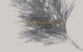 Leaves Shadow Overlay Effect Mockup 147