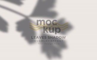 Leaves Shadow Overlay Effect Mockup 150