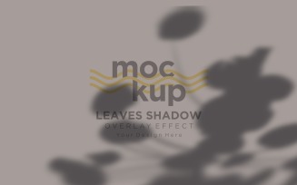 Leaves Shadow Overlay Effect Mockup 152