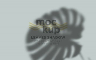 Leaves Shadow Overlay Effect Mockup 153