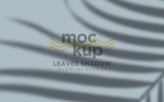 Leaves Shadow Overlay Effect Mockup 154