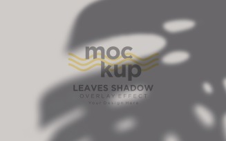 Leaves Shadow Overlay Effect Mockup 157