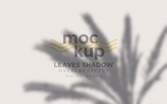 Leaves Shadow Overlay Effect Mockup 160