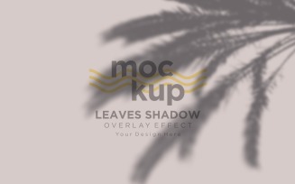 Leaves Shadow Overlay Effect Mockup 161