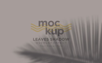 Leaves Shadow Overlay Effect Mockup 162