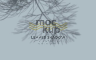 Leaves Shadow Overlay Effect Mockup 164