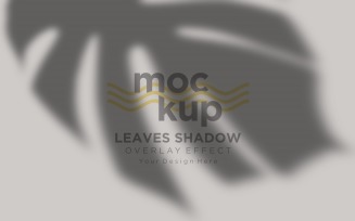 Leaves Shadow Overlay Effect Mockup 97