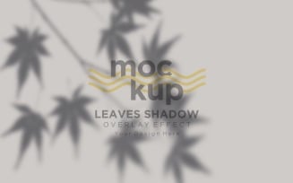 Leaves Shadow Overlay Effect Mockup 167