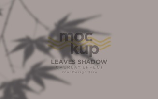 Leaves Shadow Overlay Effect Mockup 172