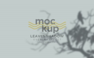 Leaves Shadow Overlay Effect Mockup 173