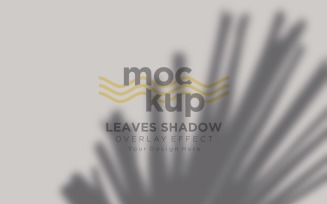 Leaves Shadow Overlay Effect Mockup 177