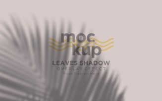 Leaves Shadow Overlay Effect Mockup 181