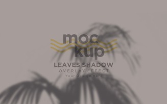 Leaves Shadow Overlay Effect Mockup 182