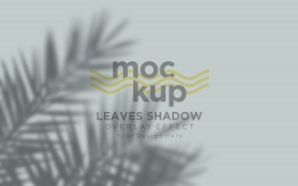 Leaves Shadow Overlay Effect Mockup 183