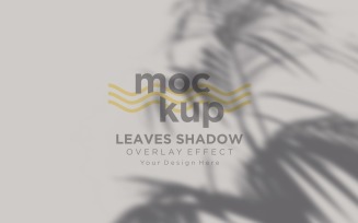 Leaves Shadow Overlay Effect Mockup 187
