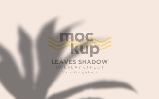 Leaves Shadow Overlay Effect Mockup 189