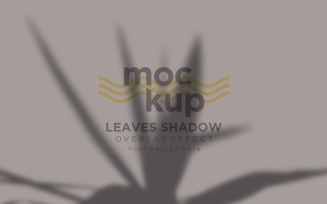 Leaves Shadow Overlay Effect Mockup 192