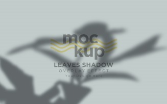 Leaves Shadow Overlay Effect Mockup 193