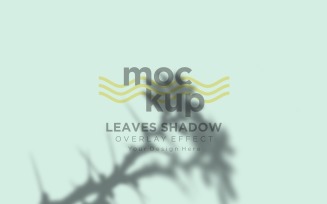 Leaves Shadow Overlay Effect Mockup 195