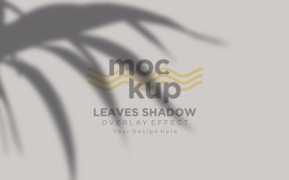Leaves Shadow Overlay Effect Mockup 197